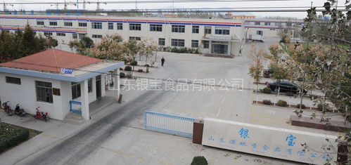 山東銀寶食品與濟(jì)南七里山幼兒園攜手共建健康飲食新篇章